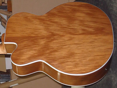 Acoustic Guitar