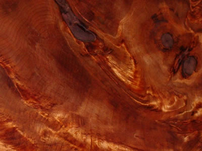 Active Grain