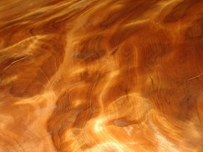 Another View of the Grain