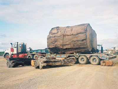 Heading To The Mill