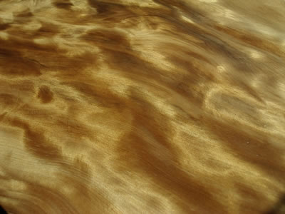 view of grain